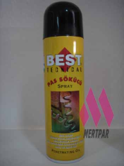 PAS SÖKÜCÜ 250ml
