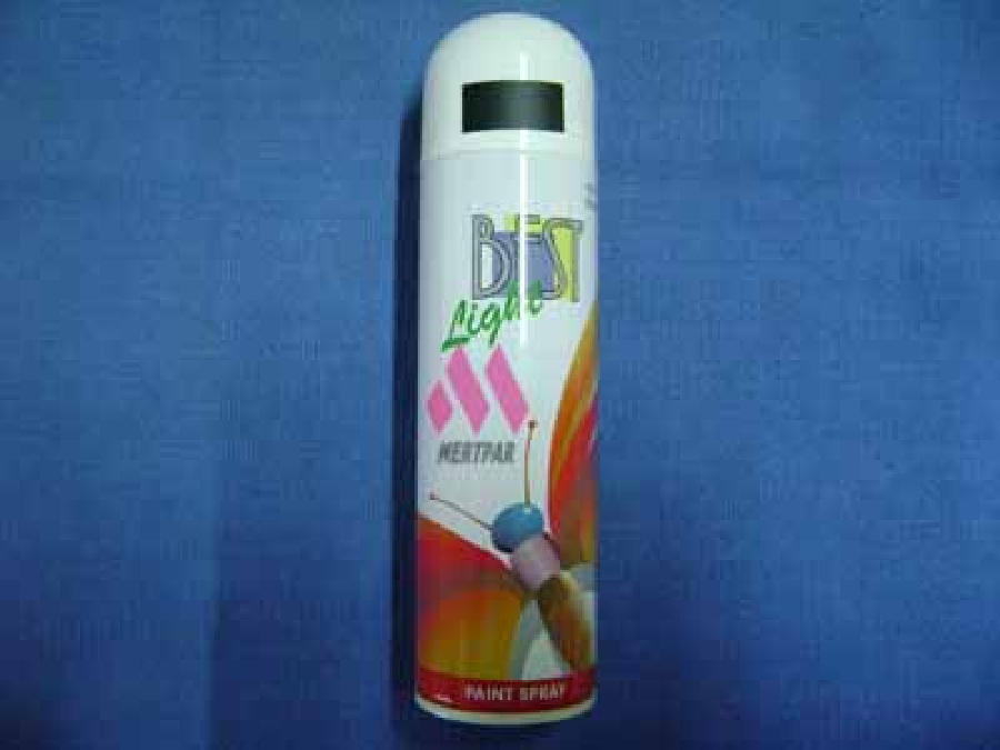 SPREY BOYA(LIGHT) MAT SİYAH 250ml