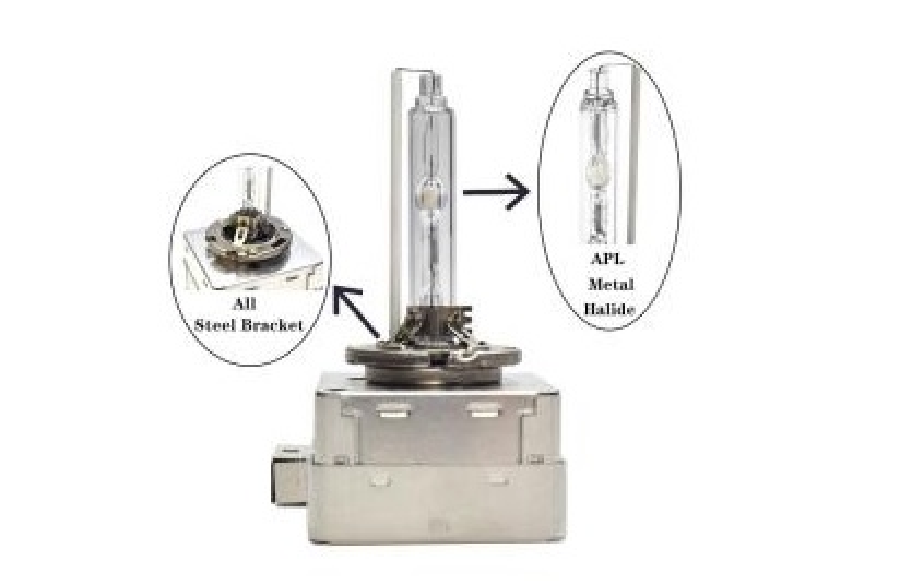 AMPUL > XENON D1S 6000K