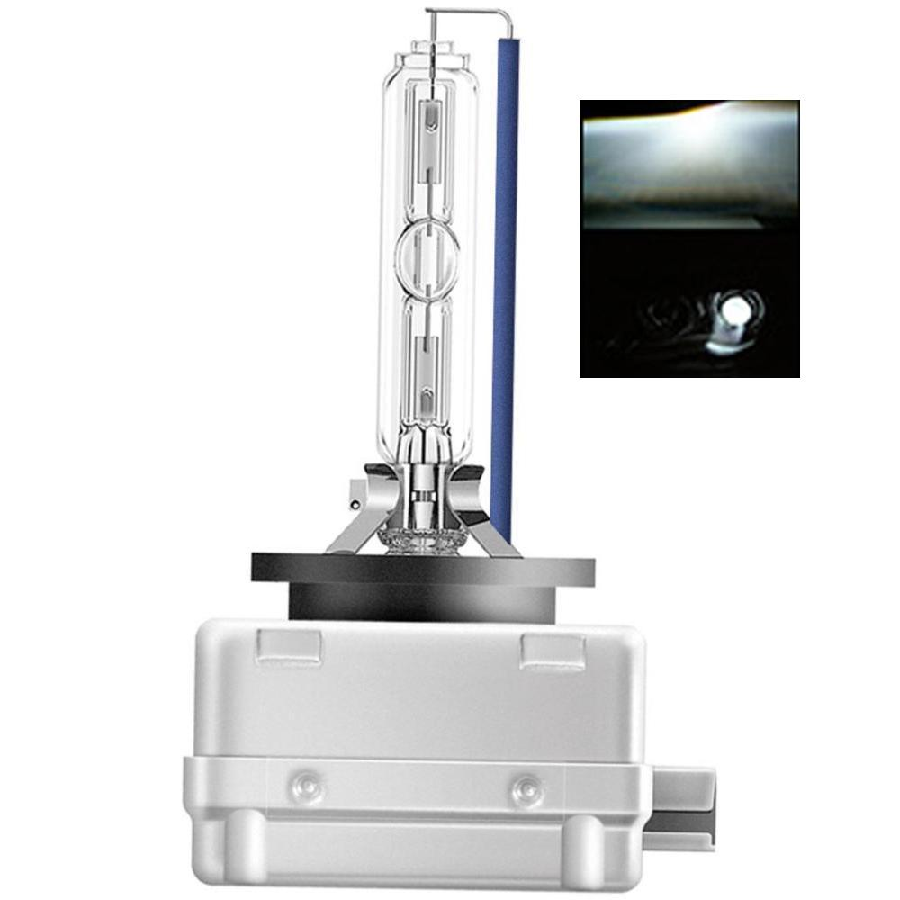 AMPUL > XENON D8S 4600K